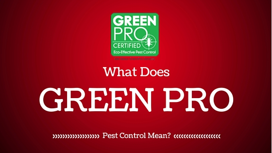 Green Pro Pest Control Services
