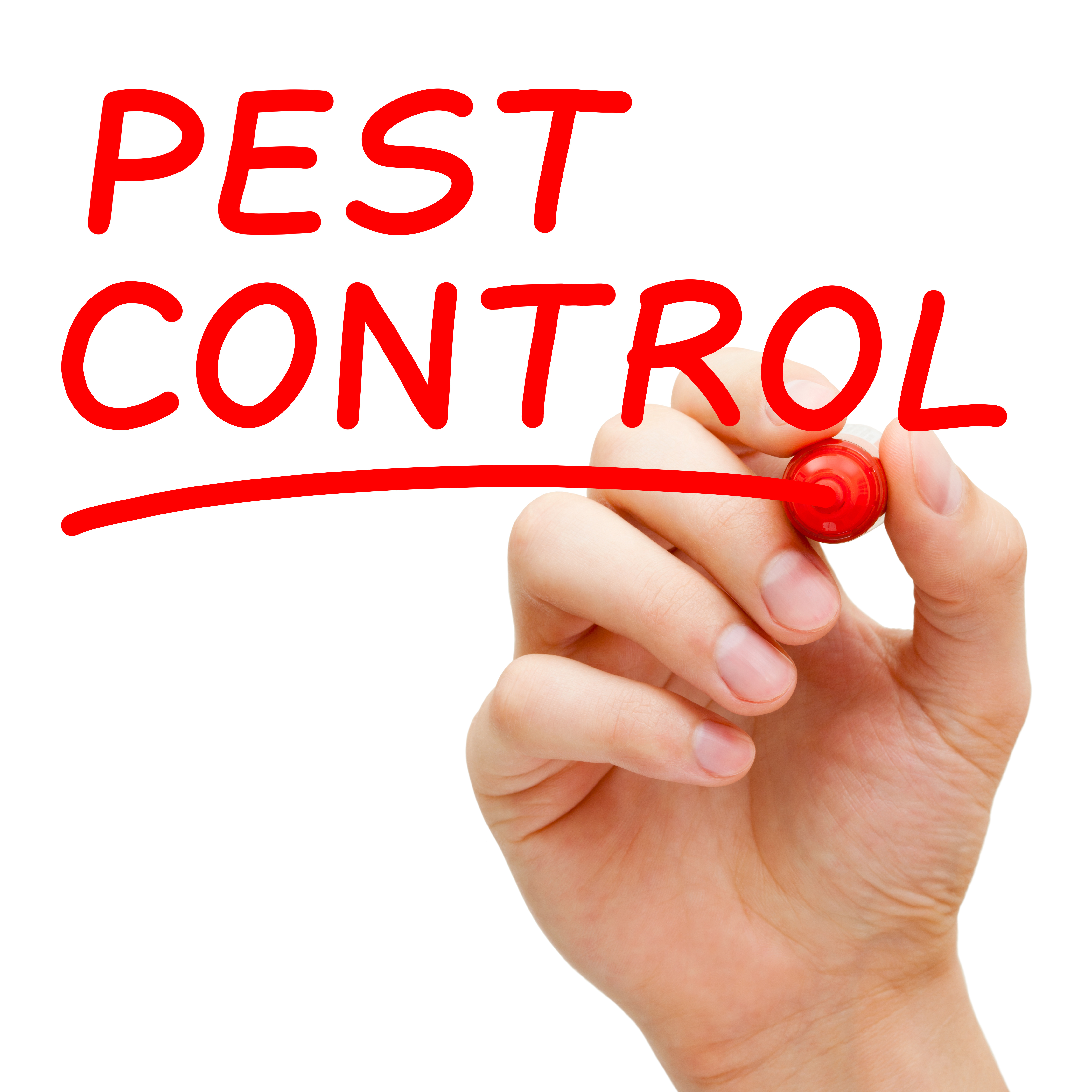 Clean Out Your Home With These Pest Control Tips And Tips 2