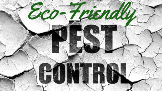 Non Toxic Pest Control