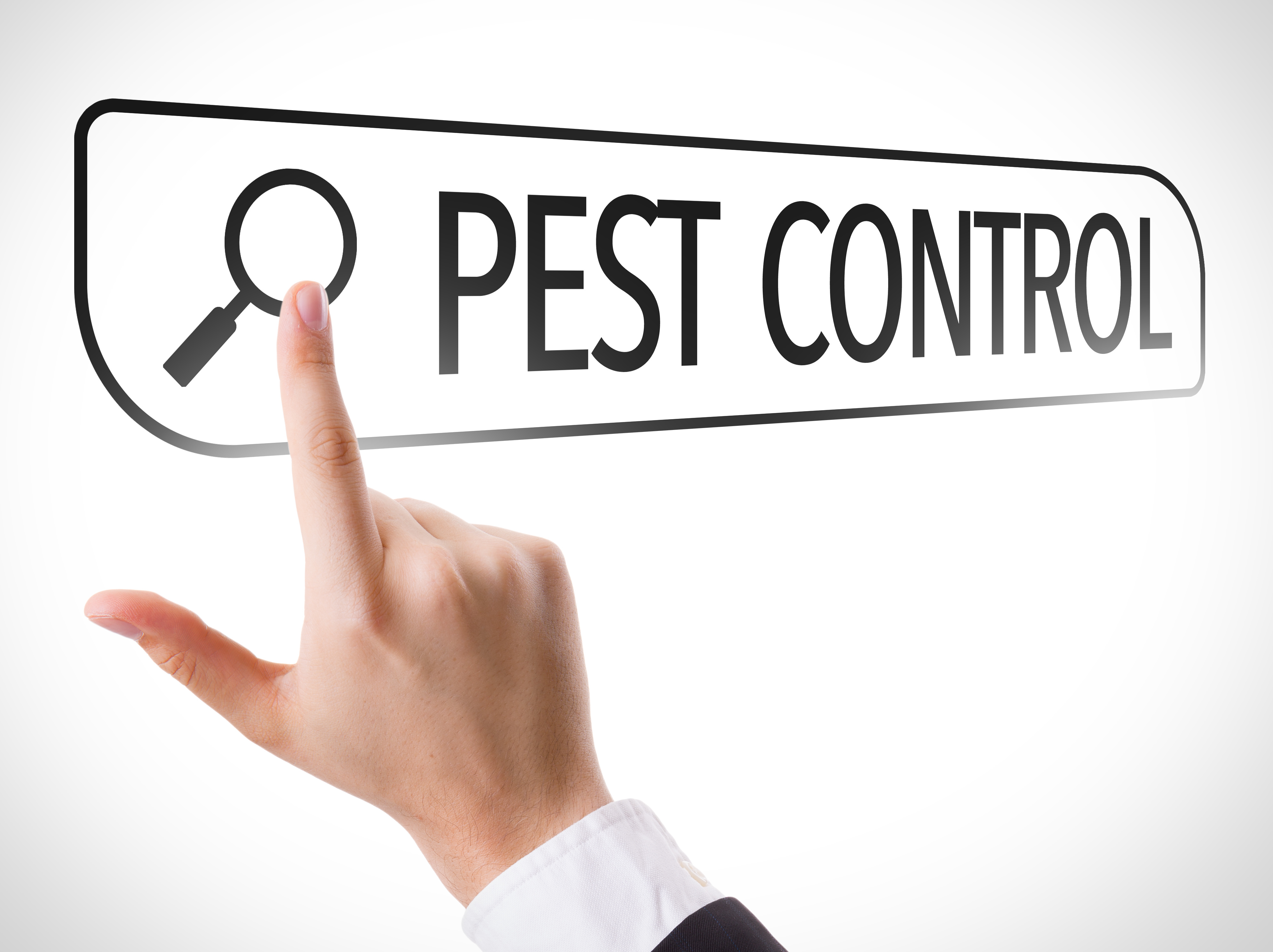 Pest Control Questions