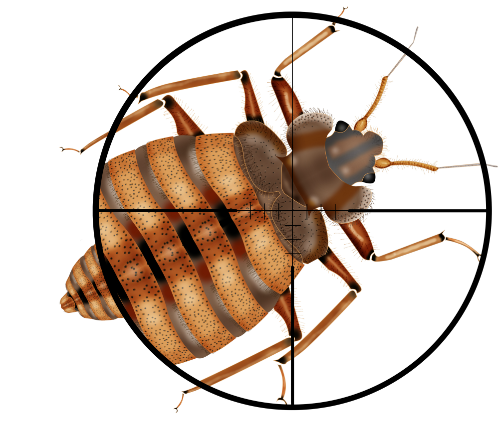 Professional Pest Control Services in Tracy CA