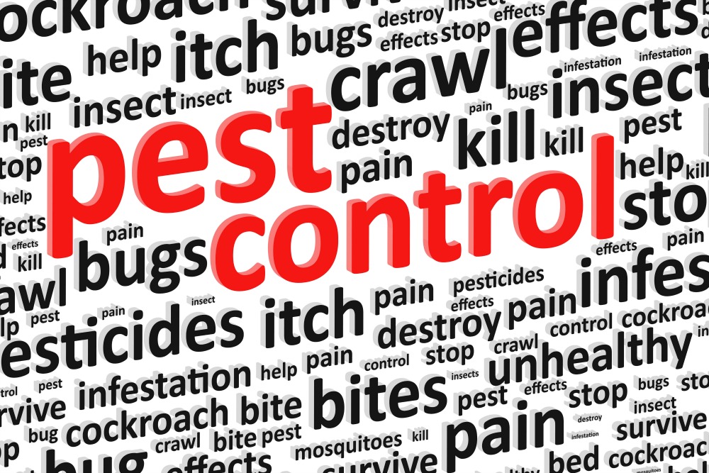 Pest Control Tips