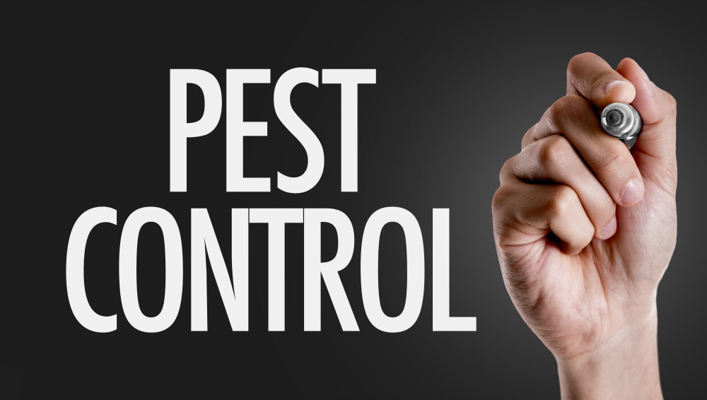 Pest Control Cleaning Tips