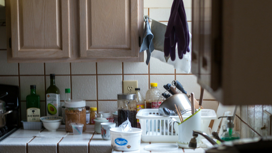 Kitchen Pest Control: Eliminate Pests in Your Kitchen with These Expert Tips