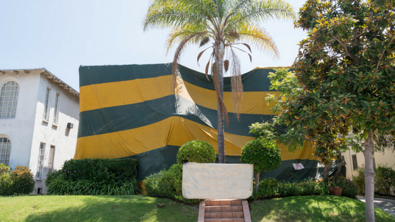 5 Facts about Tent Fumigation