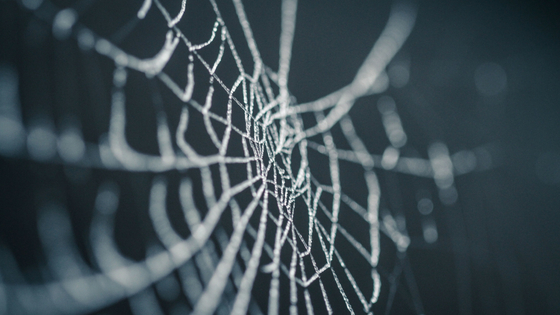 Cobweb vs. Spiderweb