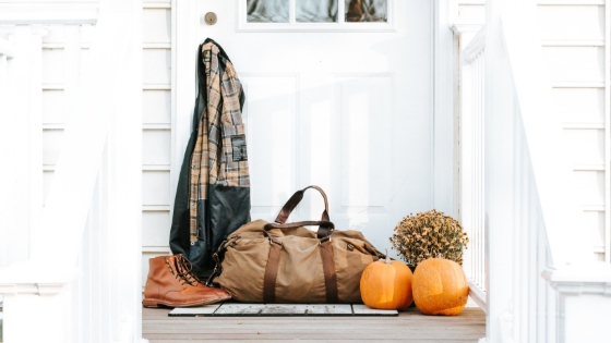 How to avoid pests during the fall and winter