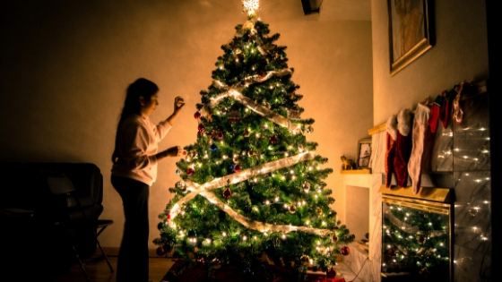 How to Keep Your Christmas Tree Pest Free