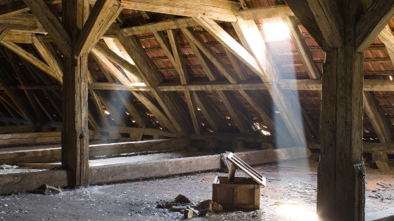 How to keep pests out of the attic