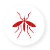 Professional Pest Control Services in Tracy CA