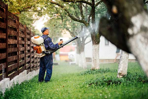 Professional Pest Control Services in Tracy CA